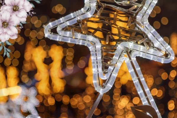 Event and Decor Bhopal : Event planner in Bhopal - Wedding & Event Management Companies in Bhopal | event decorators in bhopal - gj the luxury decoration bhopal